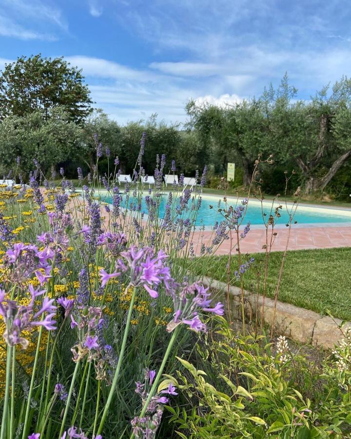 Glamping Suite Il Grillo Lamporecchio Exteriér fotografie